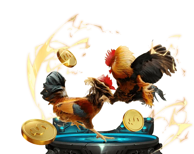 Hệ thống bảo mật và hỗ trợ khách hàng vz99